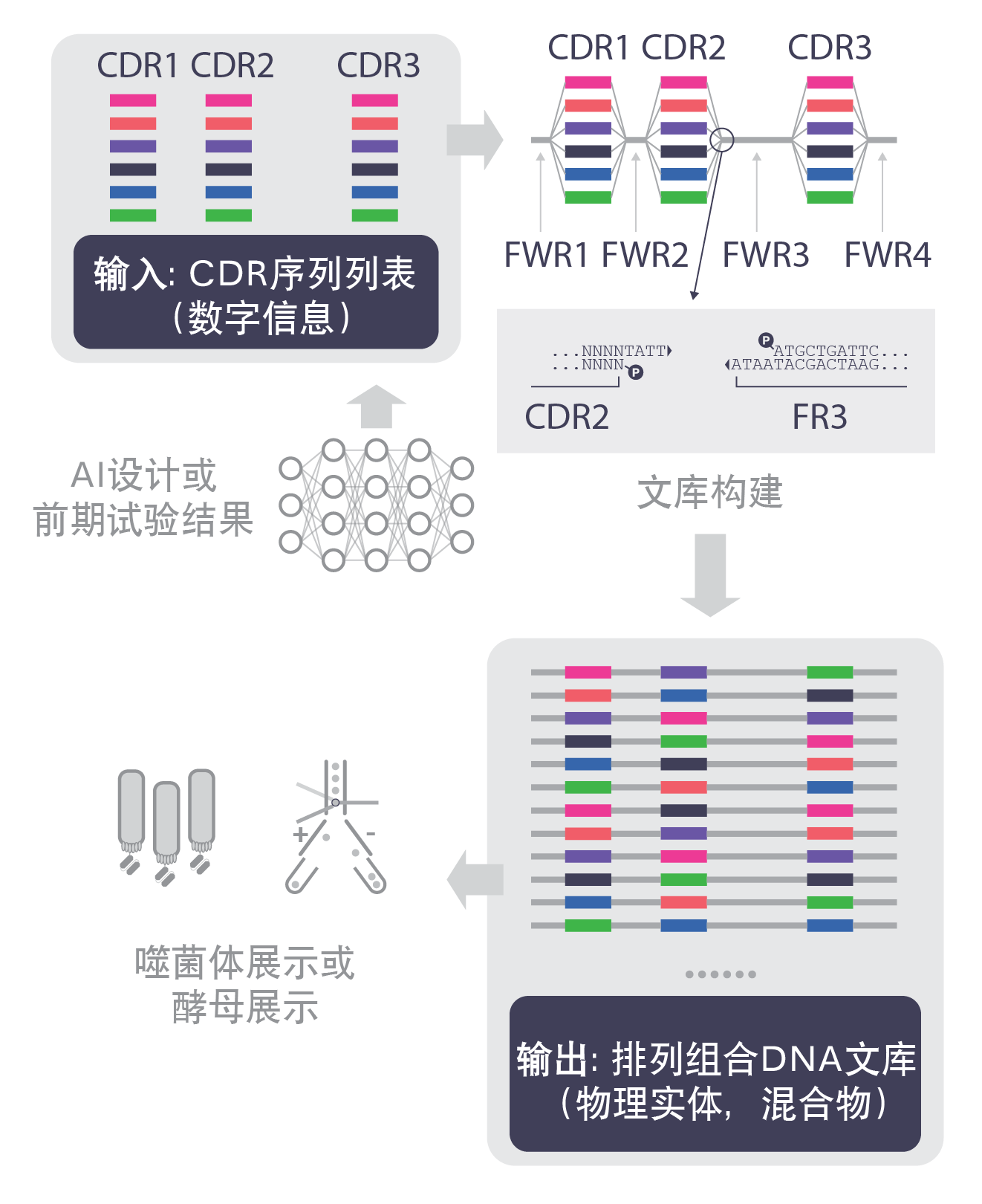 fig1